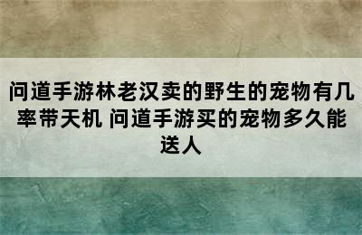 问道手游林老汉卖的野生的宠物有几率带天机 问道手游买的宠物多久能送人